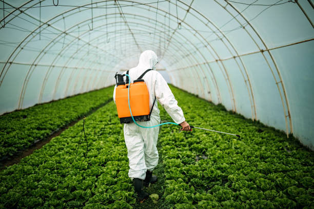 Best Pest Inspection Near Me  in Wfield, IN
