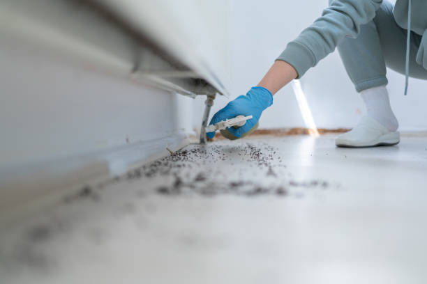 Best Best Pest Control Companies  in Wfield, IN
